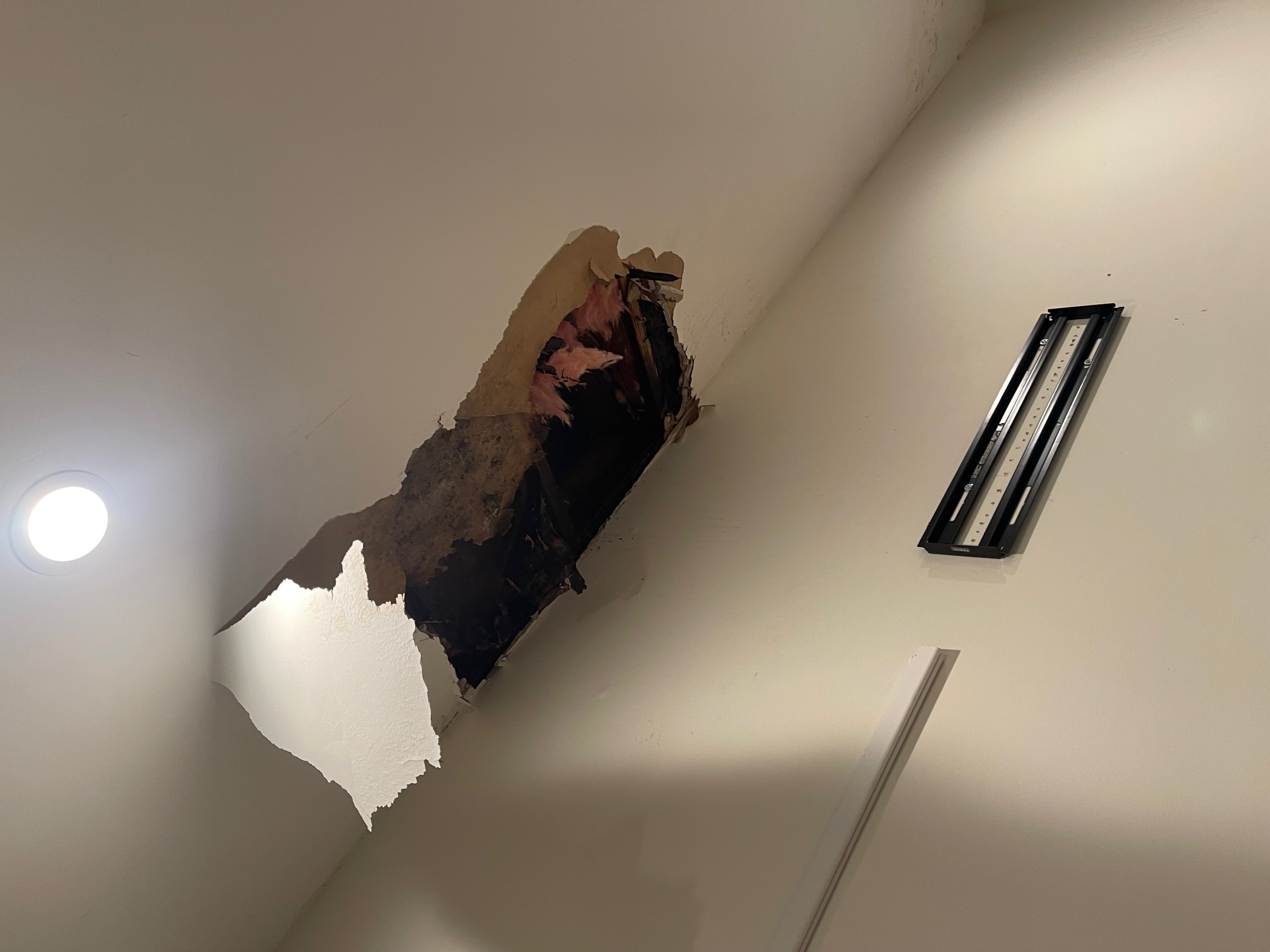 Ceiling collapse from water and mold damage