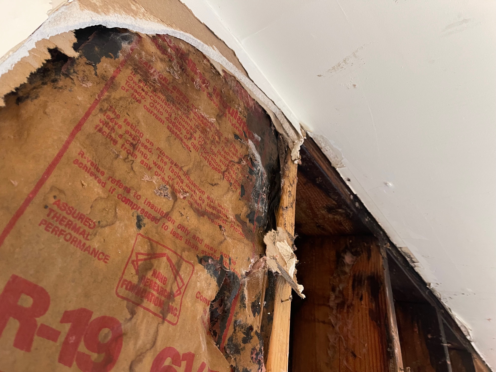 Saturated insulation with black mold
