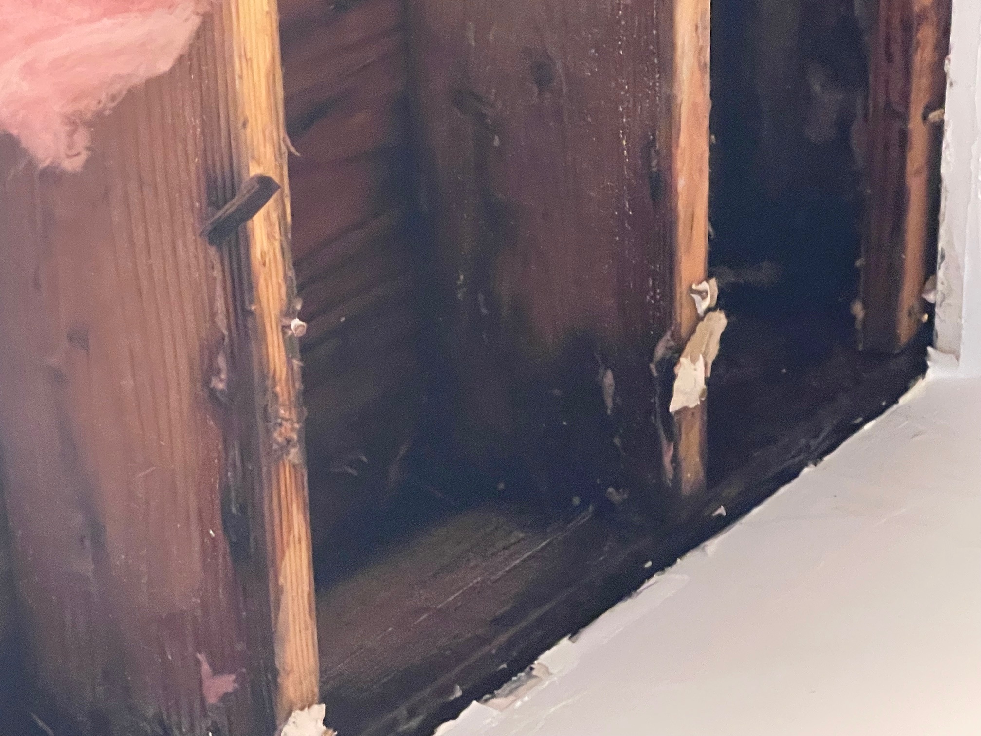Severe mold on roof decking